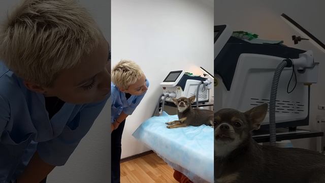 Лёня в гостях у Тани смотреть онлайн