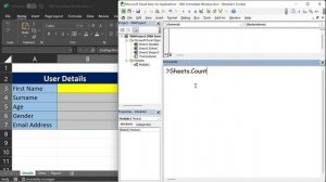 Excel VBA Immediate Window Tricks