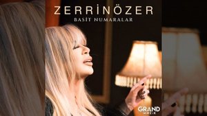 Basit Numaralar