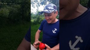 Редиска гигант #Shorts