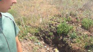 Сокровище Нибелунгов! Нашёл у себя на участке