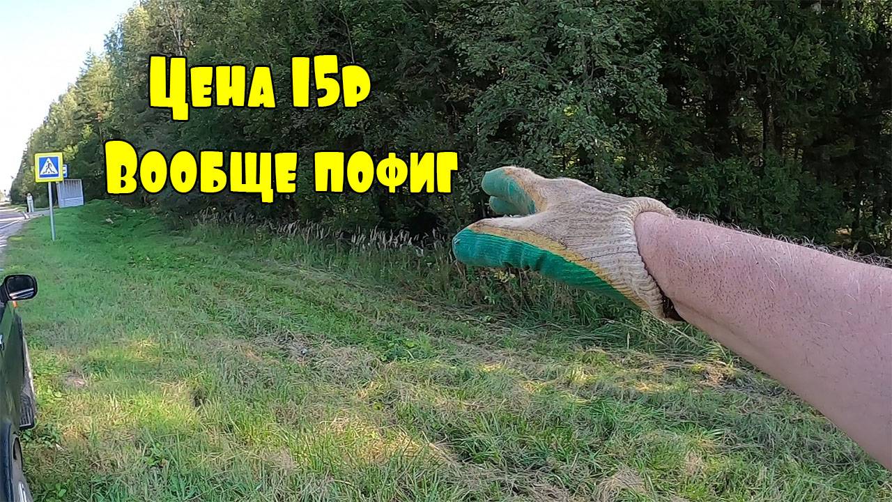 Цена падает, а я на обочине трассы копаю металлолом, все едут и смотрят а мне пофиг