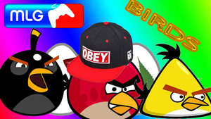 mlg birds.
