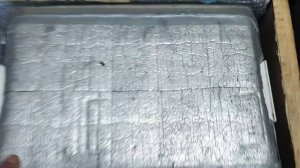 YAMAHA F 9.9 J. Как сохранить рыбу на рыбалке от 3 до 7 дней.