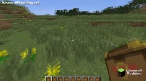 Pandora's Box Mod for Minecraft