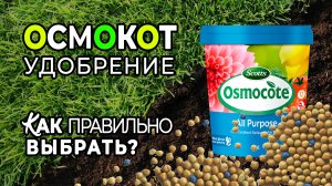 Удобрение Осмокот. Как правильно выбрать?