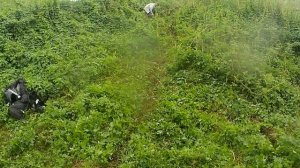 Покатушка на питбайках/Motolend rz200/Sharmax 250