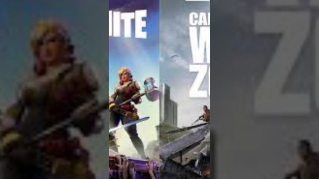 Fortnite or Call of Duty