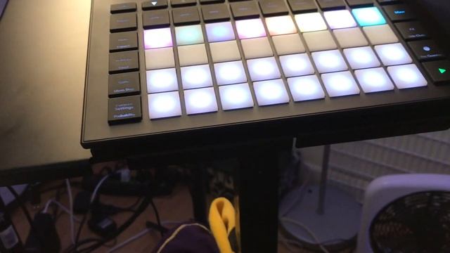 CAT Jam