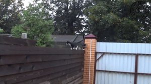 Т4 Управление заслонками печки часть 1 *074
