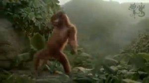 Обезьяна чичичи