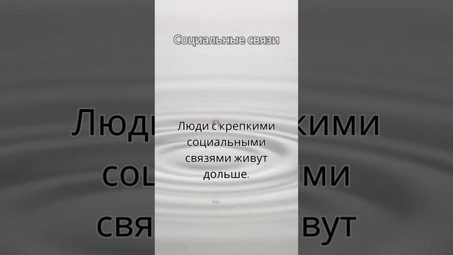 #социальныесвязи