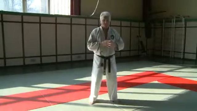 Школа Владимира Коновала. Прикладной раздел рукопашный бой. Имитационная работа перед зеркалом. смотреть онлайн