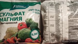 Чем подкармливать спаржу в первый год