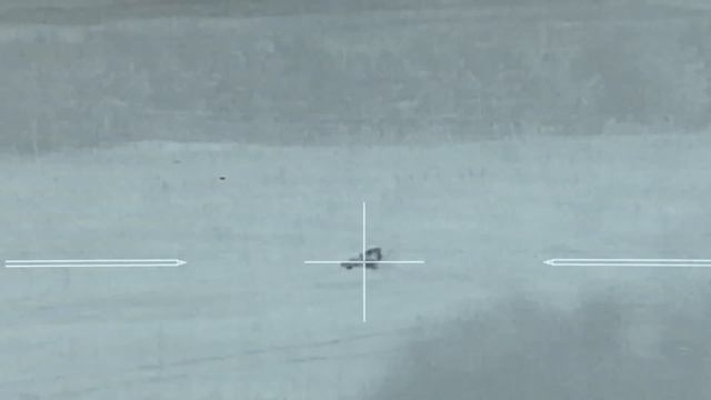 Охота на волка? night wolf hunting? 2023