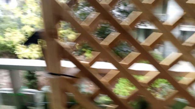 #tecno Spark 10 NFC смотреть онлайн