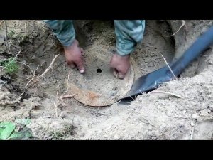 Дал раскопать другу,а сам  снимал на видео.Нашел в старом лесу под деревом.