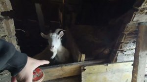 Обычный деревенский мартовский день.