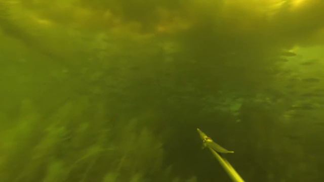 Озеро ВАД Нижегородская область 24.07.2013 смотреть онлайн