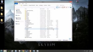 Skyrim - SKSE/Memory Patch Installation Tutorial (FAST/SHORT)