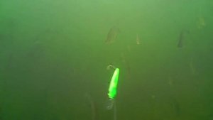 Рыбалка на спиннинг с подводной камерой, щука атакует воблер