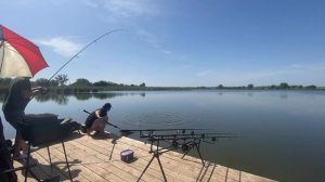 ЛОВЛЯ КАРПА И АМУРА. МОЙ БИГ ВОДОЕМА. ВОДОЁМ КАНЕВСКОЙ? КАК ПОЙМАТЬ КАРПА#carpfishing  #рыбалка