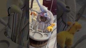 Колыбель-качели Carrello Nanny 3 в 1 отлично подойдет для новорожденного малыша