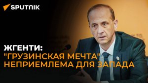 Какое правительство хочет видеть Запад в Грузии – ответ политика