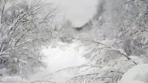 Охота и рыбалка .За рулём по бездорожью на ГАЗ-66