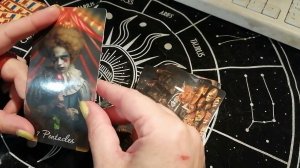 МА Венецианский цирк