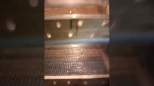 автоматический инкубатор из холодильника своими руками