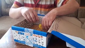 Golden Buckfast Belarus ! Матки ИО- от Доброго плотника!