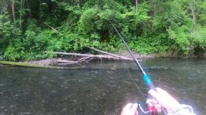 Рыбалка в Приморье. Река Журавлевка. Хариус, ленок. 30.06 - 04.07.2021 г. День 4.