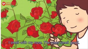 My Five Senses | Short story for Kids