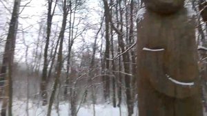 Языческое капище зимой глубоко в лесу