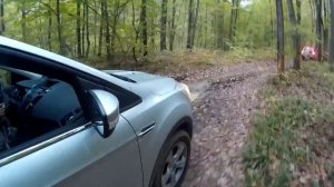 Ford Kuga 2 на лесном бездорожье