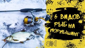 Мормышинг в экстримальных условиях I Поймал 6 видов рыб