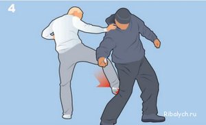 _Stikhiya Wing Chun. Удар ногой в классическом Вин Чунь.
