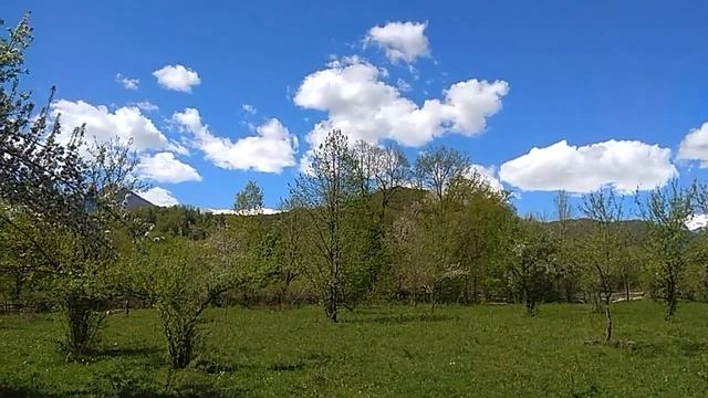 Самолюбование!