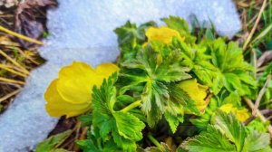 Путешествие по Дагестану. Часть 2