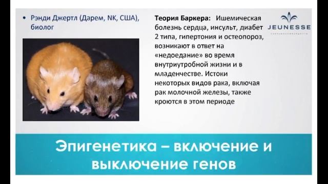 Борьба со старением | Эпигенетика | Нутригеномика | Нутригенетика