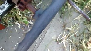 Чистим фасоль. САМЫЙ БЫСТРЫЙ СПОСОБ ! 100 %