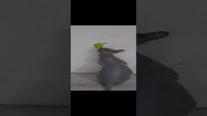 1 часть