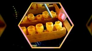 Сбор и свойства маточного молочка пчел