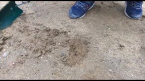 Пинпоинтер. Первые Находки.