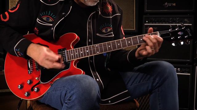 Gibson ES-339 • SN: 225020205 смотреть онлайн