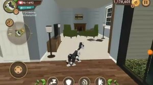 Показываю известные популярные баги в Dog Sim. ПОЧЕМУ МЕНЯ СМОТРЯТ ДЕВОЧКИ???!
