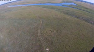 НЛО/Круги на полях!!!