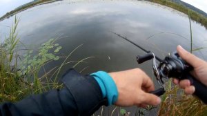 Прогулка по озеру с Shimano 2020 Zodias 168L-BFS/2