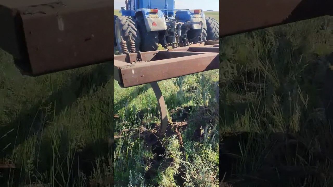 Вот это находка! сколько лет бороне? смотреть онлайн